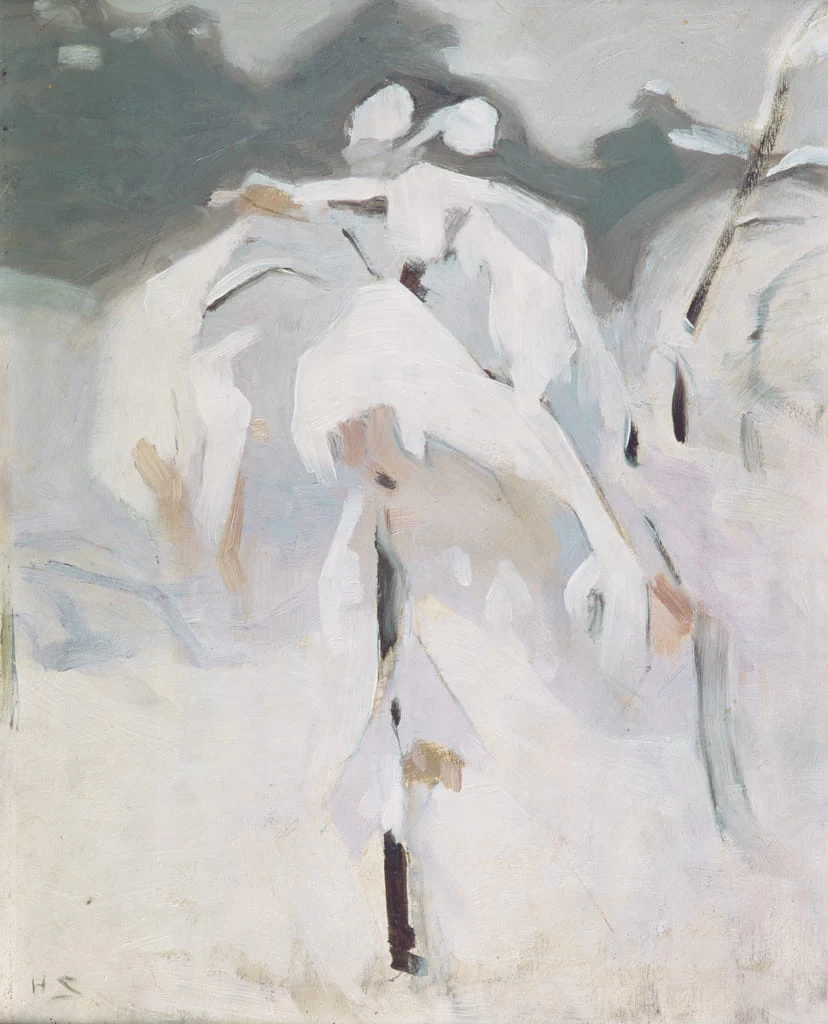 Betulla innevata
